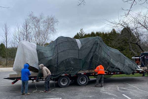 beech nut tree covered on large trailer